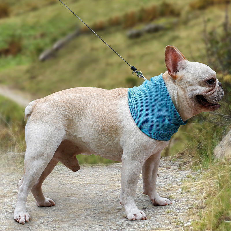 Écharpe Rafraîchissante pour Chiens - Design Glace et Triangle
