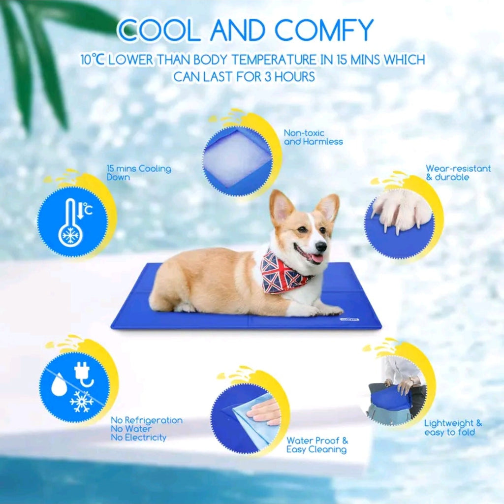 Tapis Rafraîchissant pour Chats et Chiens