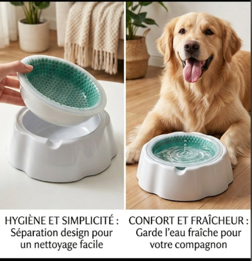 Gamelles Rafraîchissantes d'Été pour Chiens et Chats